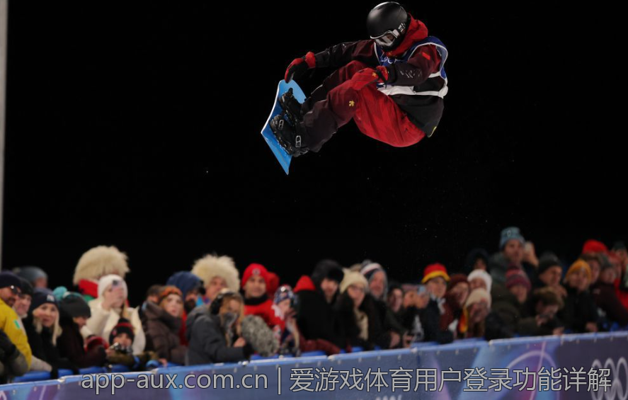 爱游戏体育用户登录功能详解